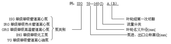 圖片33